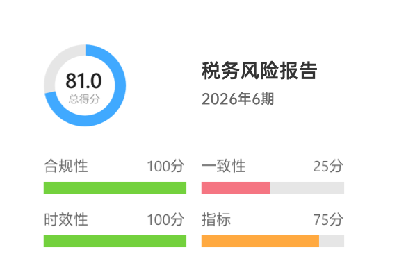 风险报告